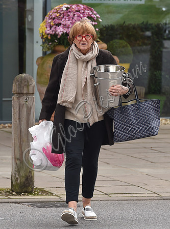 TV presenter Anne Robinson carrying ice buckets