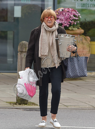 TV presenter Anne Robinson carrying ice buckets