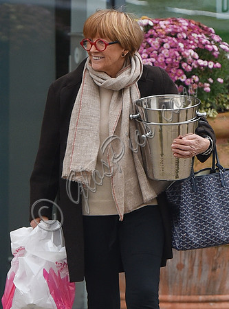 TV presenter Anne Robinson carrying ice buckets