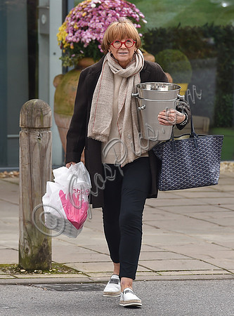 TV presenter Anne Robinson carrying ice buckets