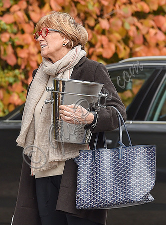 TV presenter Anne Robinson carrying ice buckets