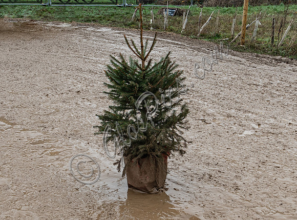 mud bath at Diddly Squat Farm Shop