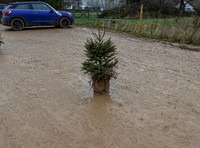 mud bath at Diddly Squat Farm Shop