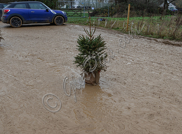 mud bath at Diddly Squat Farm Shop