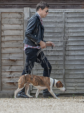 Jamie Hince with dog 'Archie' walking in front of fence