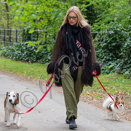 Kate Moss with dogs