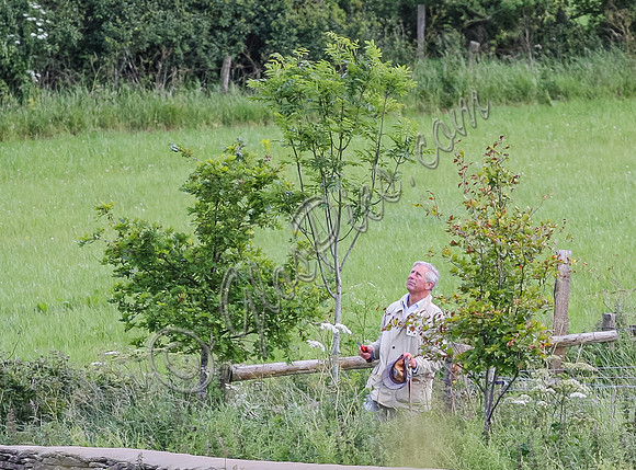 IMG_1547
