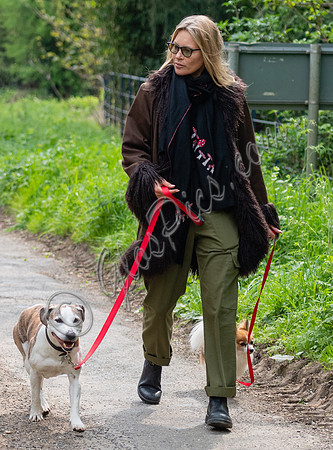 Kate Moss with dogs