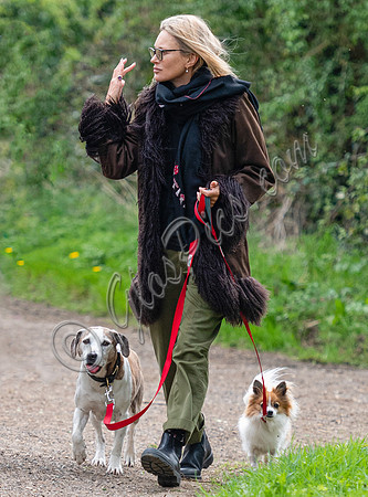 Kate Moss with dogs