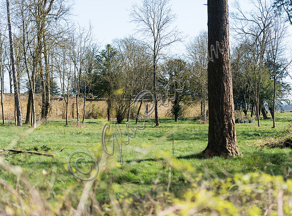Site of the walled garden