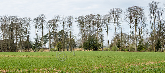 Site of the walled garden