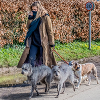 Kate Moss and James Brown walking dogs in the Cotswolds, United Kingdom - 12th March, 2021