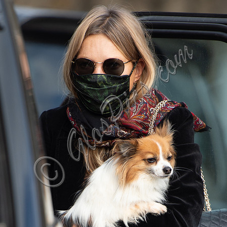 Kate Moss carrying long haired chihuahua, "Stanley"