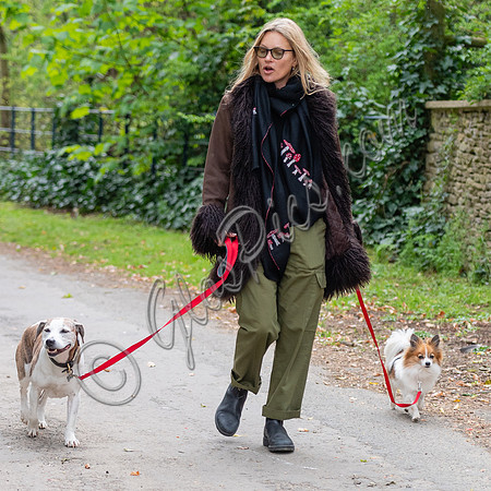 Kate Moss with dogs