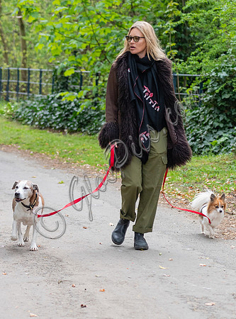 Kate Moss with dogs