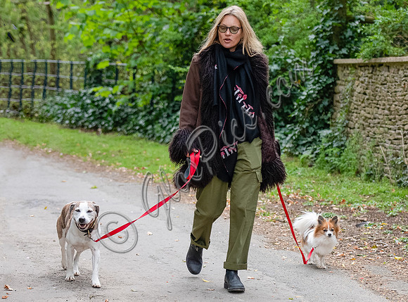 Kate Moss with dogs