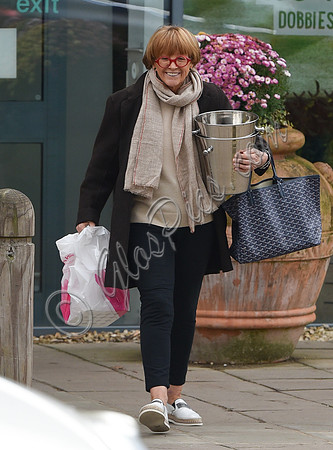 TV presenter Anne Robinson carrying ice buckets