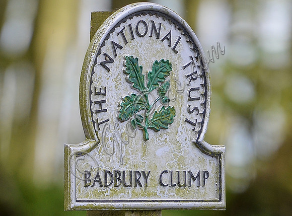 Close up of National Trust sign at Badbury Clump