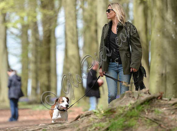 Supermodel Kate Moss wearing military style jacket, skinny jeans and cowboy boots takes a walk with her dog Archie in the woods