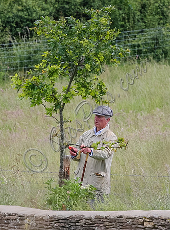 IMG_1526