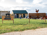 LATEST ON :  Jeremy Clarkson's "Diddly Squat Farm Shop"