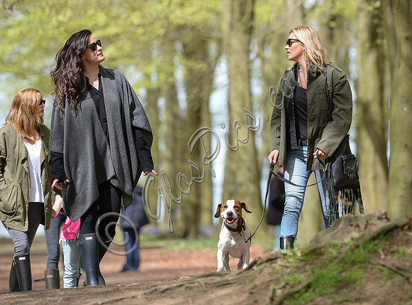 Supermodel Kate Moss wearing military style jacket, skinny jeans and cowboy boots takes a walk with her dog Archie and Liv Tyler who looked cool wearing a poncho teamed with Hunter wellies